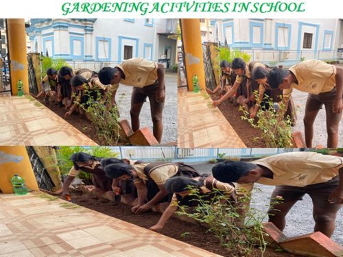 Gardening Activities in School