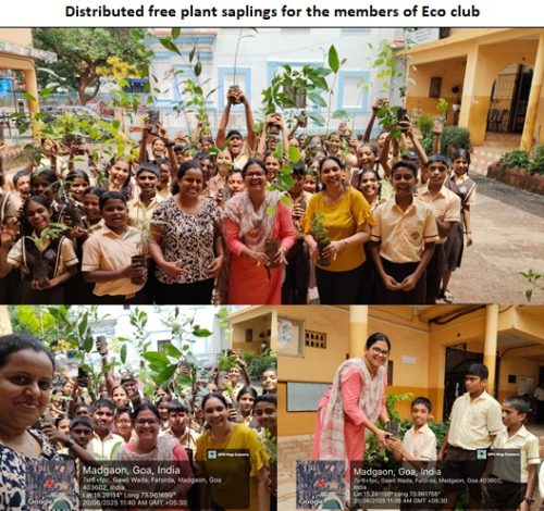 Distributed free plan saplings