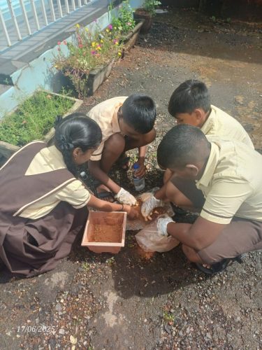 WhatsApp-Image-2025-07-02-at-10.35.17-AM