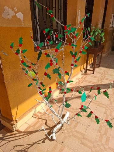 WhatsApp-Image-2026-01-14-at-12.31.11-PM-1