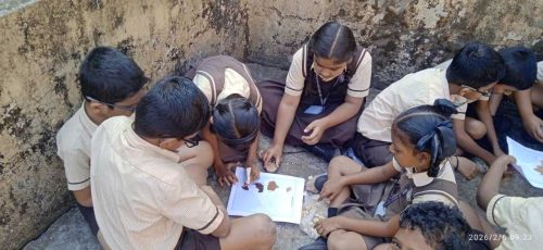 WhatsApp-Image-2026-02-11-at-10.55.04-PM