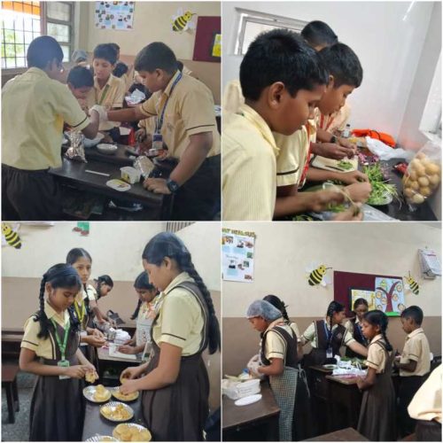 Cook Without Fire Activity Class: 6C